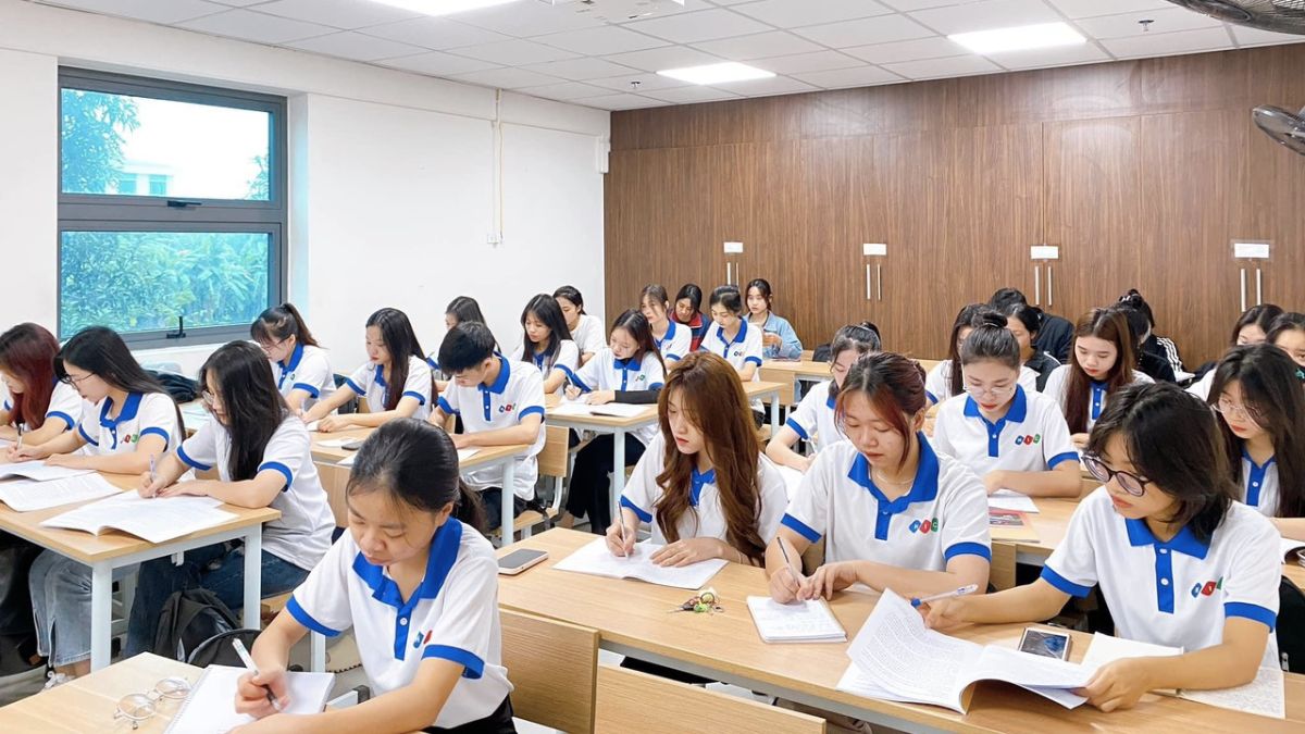 Cơ hội cho cử nhân của ngành